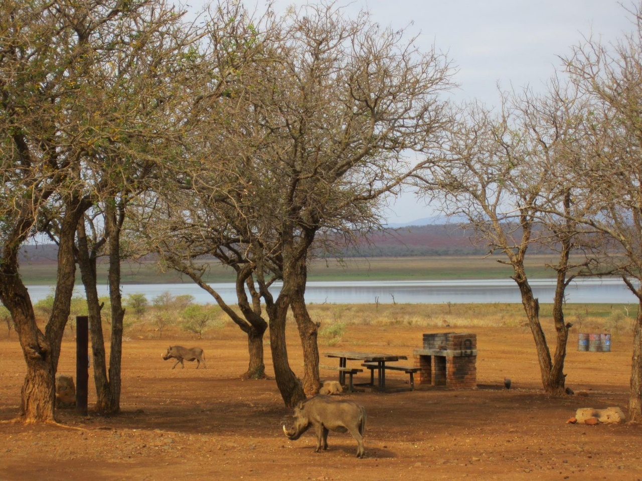 Tracks4Africa Photo Gallery for Pongola Reserve Camp